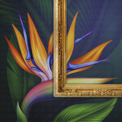 Wall Art Druckfolien